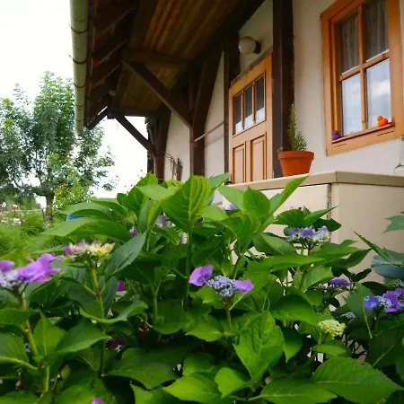 Moravske Lieskove Selanka Off Road Hill View酒店 外观 照片