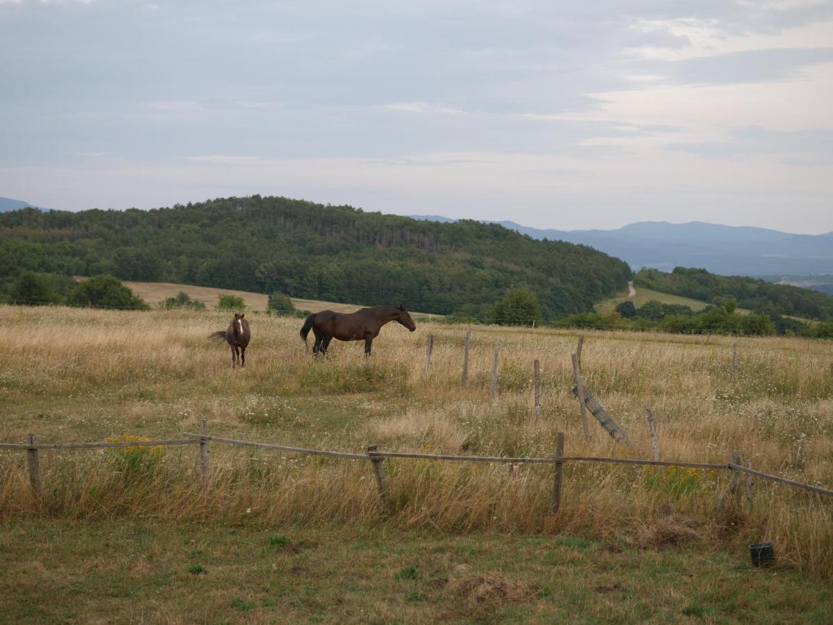 Selanka Off Road Hill View *